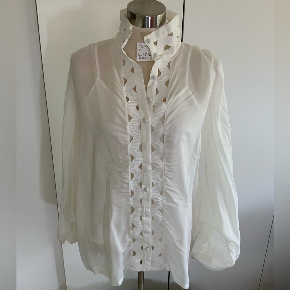 White sheer long sleeve blouse, beautiful detailing at collar, front, sleeves